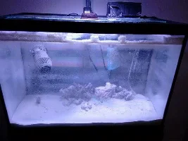 Rebuilding A 20Gal After A Move