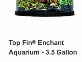 Is this a good option for a betta?