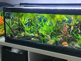 River Creek 22g
