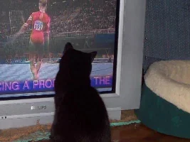 The hubby and I got a kick out of this!
