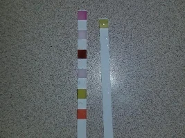Canister Filter Connected To Undergravel Filter