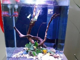 My New Project!