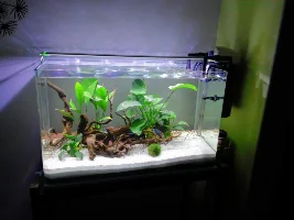 A 60Litre Named.. Aquapit..