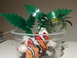 bad fishkeeping advice