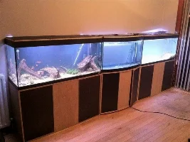 Fluval Roma 240 & Vicenza 180 Both With Fluval 405's In Scotla