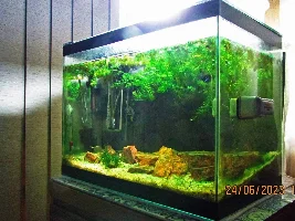 My (very) low-cost 7.92 gallons tank