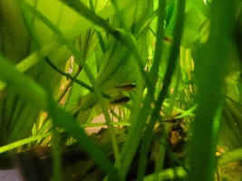 A few random pictures from the past week or so