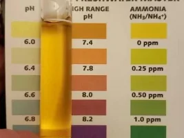 Water test levels
