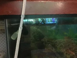 Efficient water changing