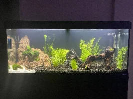 New tank pic
