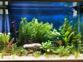 New to the hobby - go easy!