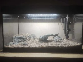 My ~15 gallon fish tank project