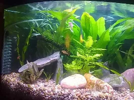 Can't Stop Moving Things Around