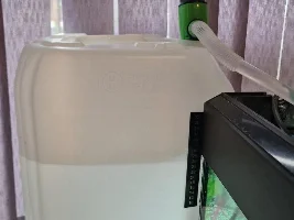 4 different fish found dead, not sure whats killing them ??