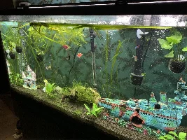 White floating pods?