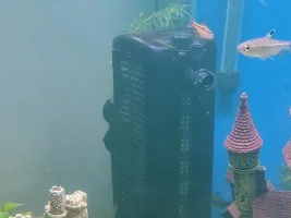 How to setup fluval u4 oxygen