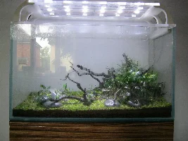 "Shattered Tree" - 140 ltr Opti-white