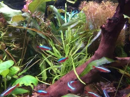 Leaking Tank Leads To New Beginnings