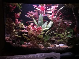 Need advice before I ruin a good thing