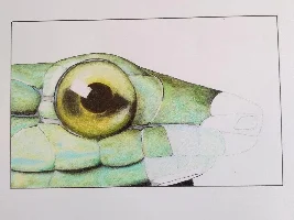 Thread for sharing art
