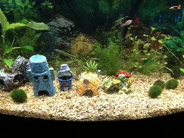 46g Bowfront hood and light assistance needed