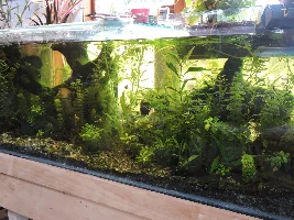Here I go again 150 gallon reset.