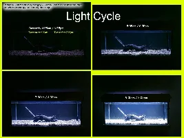 Marine Light for Tropical Plant Tank? + HEAT Concerns