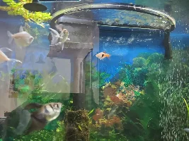 55 Gallon Journal