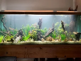 Broke down and rescaped the 150