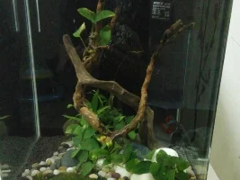 My New Project!