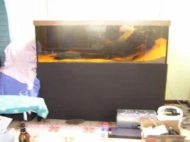 New 6x2x2 australian native tank.