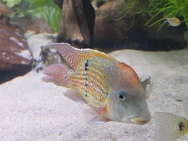 A few random pictures from the past week or so