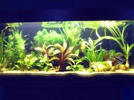Few Pics From A Newbie