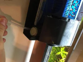 Will This Work For My Co2? Dont Wanna Gas Fish"?