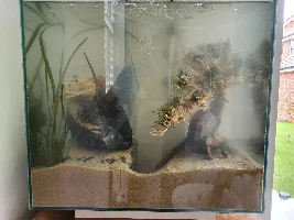 Tank rescape