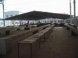 Show  You Around The Ornamental Fish Market Of My Hometown （ans