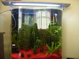Cfl Floodlight For Aquarium?