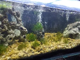 Help me decide how to proceed.
