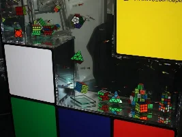 Guppy display...