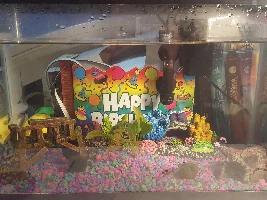 Tank progress