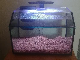 White spots on silicone?