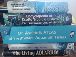 Books, Here is my Library