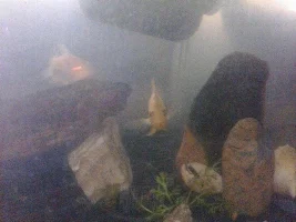 My New Worlds