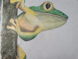 Thread for sharing art