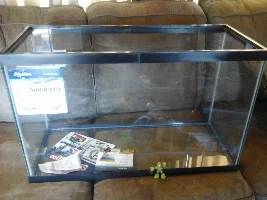 petco dollar per gallon sale!
