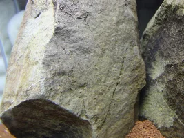 New Rocks For New Aquarium- Are They Safe?