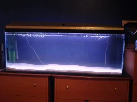 New Malawi Setup, No Rocks Yet :/