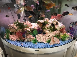 Turning my 50g from artificial to real plants!