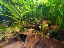 A few random pictures from the past week or so