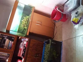 What To Do With My 125L Now.